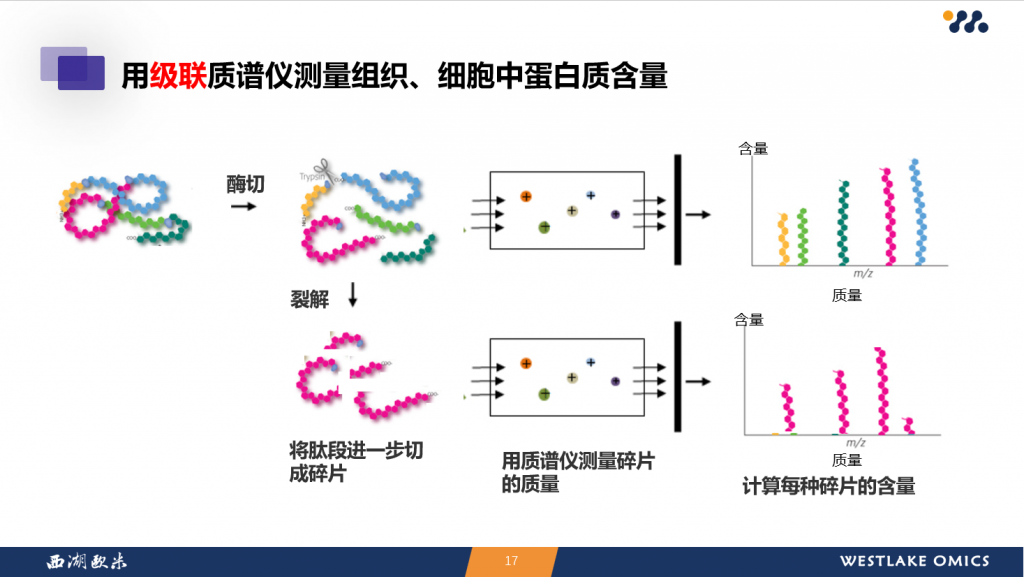 Guomics research image