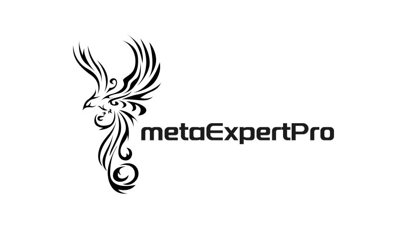 metaExpertPro original logo