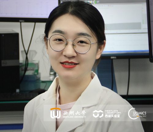 Yingying Sun