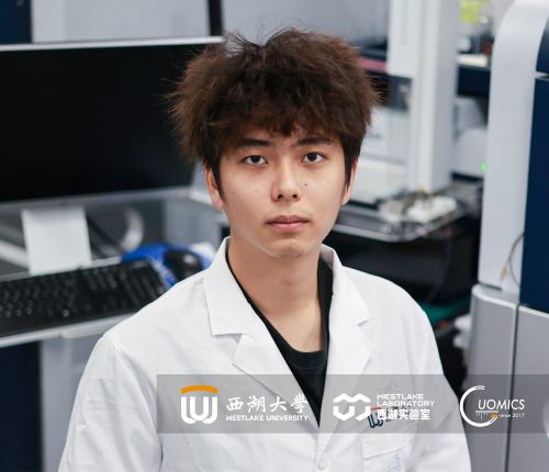 Zhaoxing Li